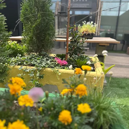 Luxury With Garden Terrace, Bm Garden No2, Free Parking דירה *